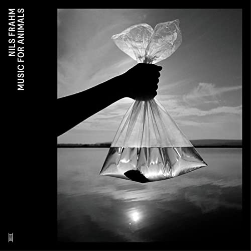 Black and white album cover: hand holding a bag of water over water.