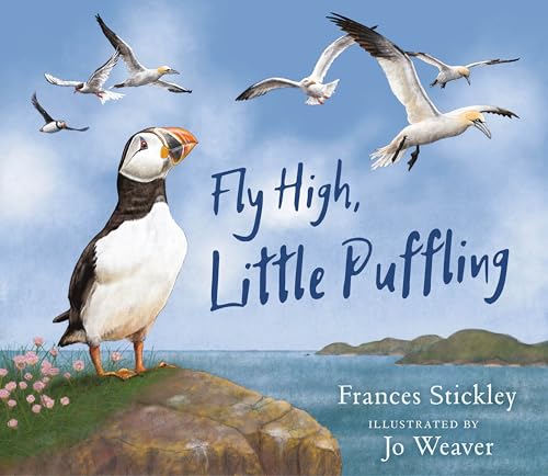 Colourful children's book cover with puffin illustration and bold, playful typography and design elements.