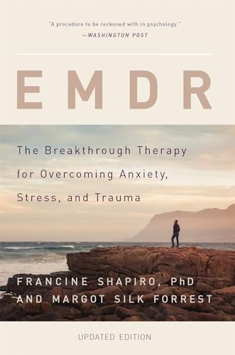 Book cover showing a person standing on rocky cliffs overlooking the ocean at sunset.