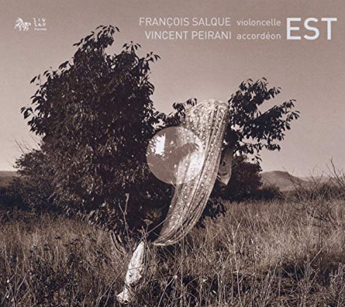 CD cover with a blurred, ghostly figure amidst trees and landscape.