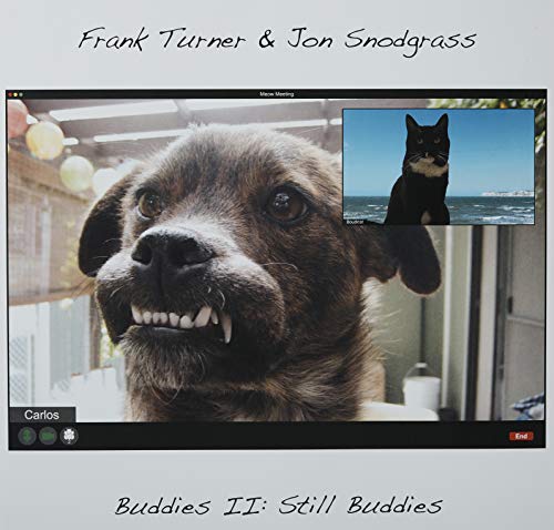 Album cover showing a dog in a video call with a cat.