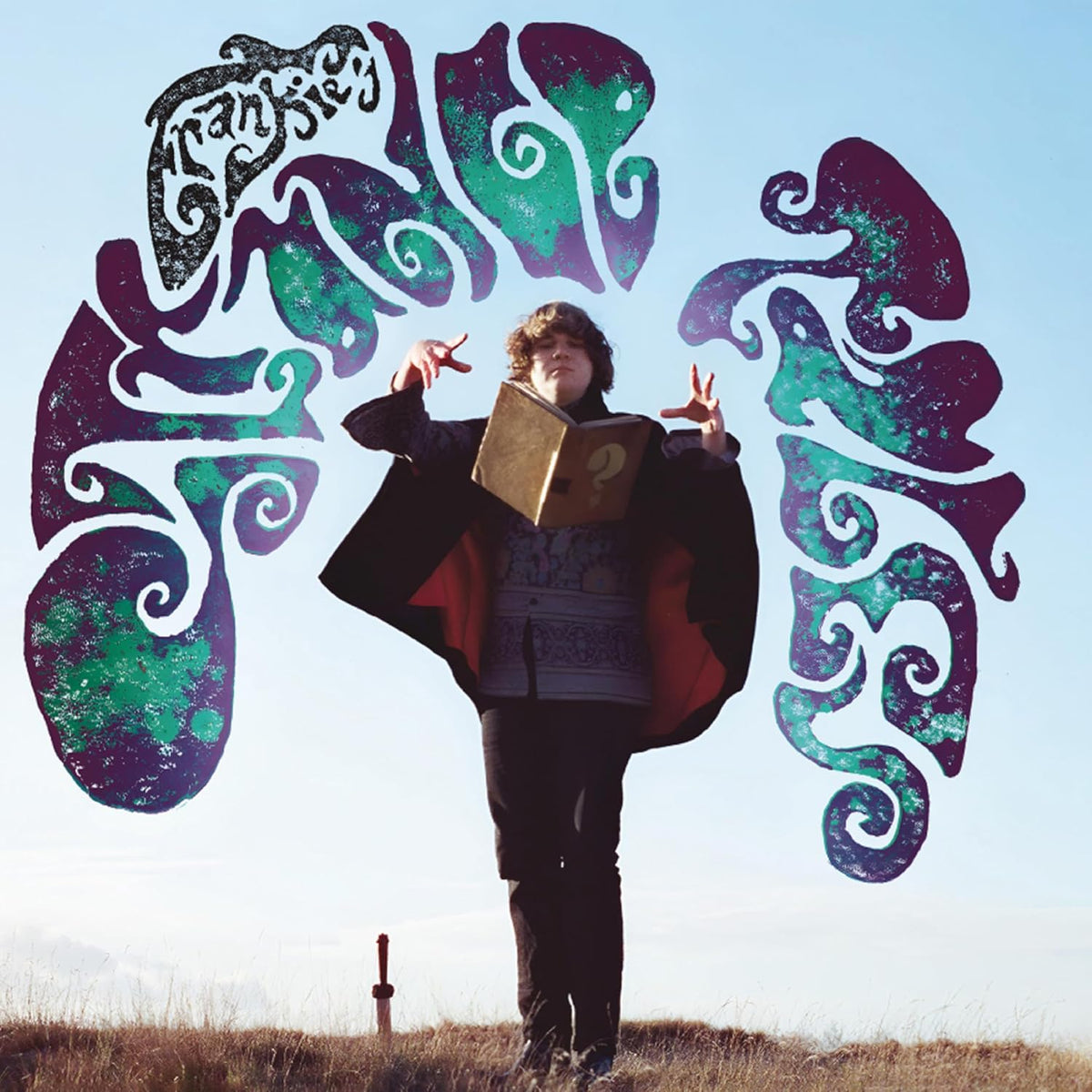 Album cover featuring a person with a question mark, swirling floral design.