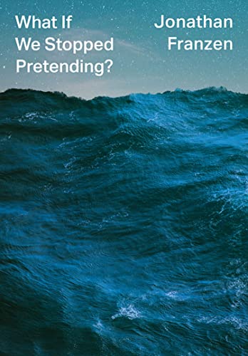 Book cover: "What If We Stopped Pretending?" by Jonathan Franzen, ocean scene.