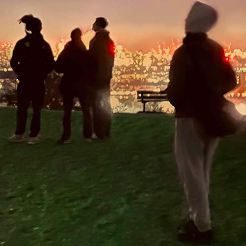 Silhouettes of people standing on a grassy hill overlooking a blurred city at sunset.