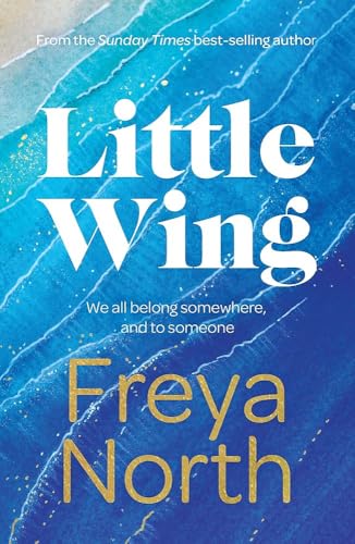 Book cover for “Little Wing” by Freya North, with blue wave imagery.