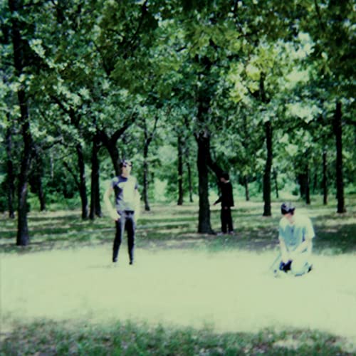 Three people stand in a sunlit, wooded area with green trees and grass.