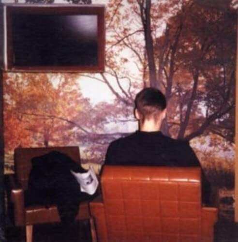CD cover: man seen from behind, facing a landscape mural.