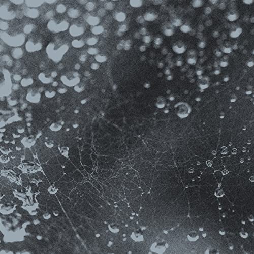 Dark, textured vinyl record cover with a web-like crack pattern.