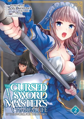 Anime-style book cover featuring a woman with swords and a man in the background.