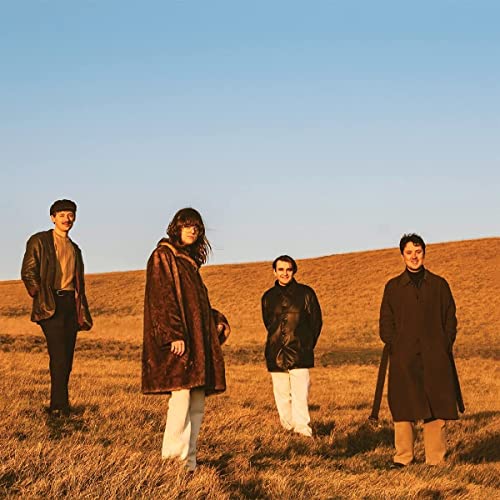 Four people in vintage coats stand in a grassy field.