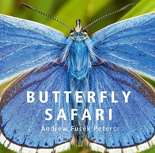 Close-up of a blue butterfly with open wings, book cover.