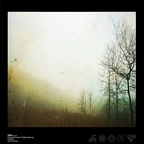 Album cover for Future Sound Of London: misty forest with bare trees.