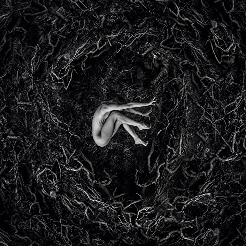 Black and white album cover with a person curled in tangled branches.