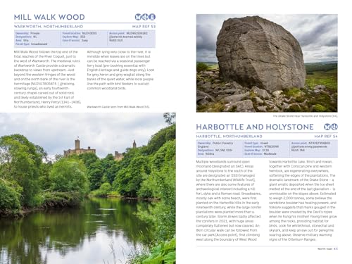 Book pages showing photos of English woodlands, castles, and a large stone.