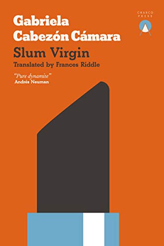 Book cover: "Slum Virgin" by Gabriela Cabezón Cámara, abstract design.