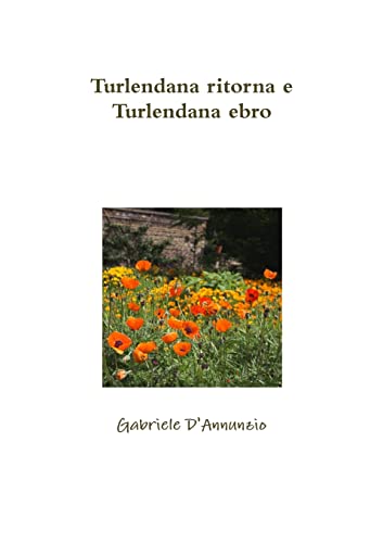 Book cover with title and a field of orange poppies.
