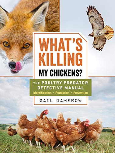 Book cover featuring a fox, a hawk, and a flock of brown chickens.