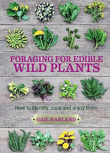 Book cover titled Foraging for Edible Wild Plants featuring various wild plants on wood.