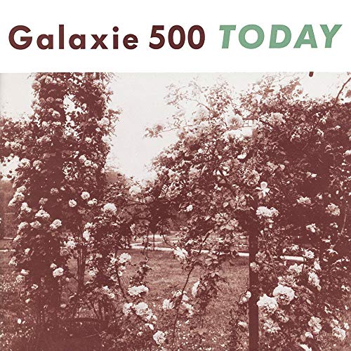 Galaxie 500 - Today" album cover with a sepia-toned rose garden.