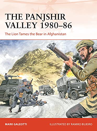 Book cover depicting Afghan fighters and Soviet military vehicles in a valley.