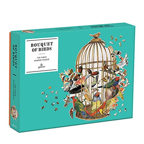 Teal puzzle box with a birdcage illustration and scattered bird shapes.