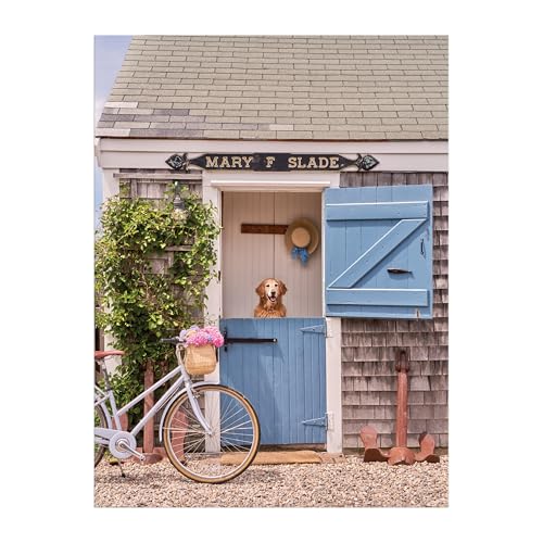 Blue-shuttered cottage with a golden retriever and bicycle in front.