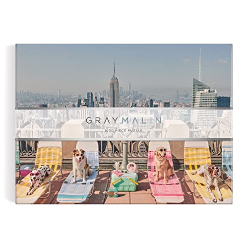 Dogs lounging on colorful chairs with the New York City skyline.