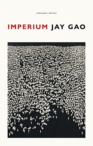 Book cover: "Imperium" by Jay Gao, with a crowd scene illustration.