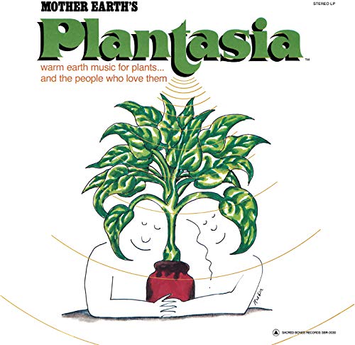 Album cover showing a stylized plant growing from a pot held by two people.