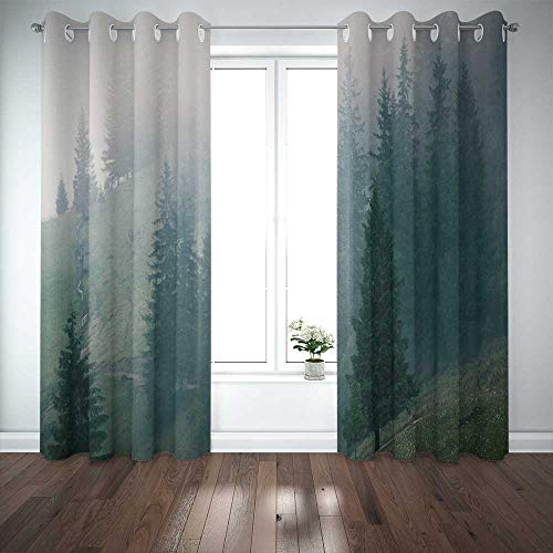 Forest-patterned curtains hang over a window above a wooden floor.