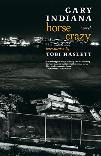 Book cover for Horse Crazy by Gary Indiana featuring a dark, urban night scene.