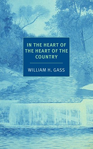Book cover featuring a blue-toned illustration of a river with a central text box.