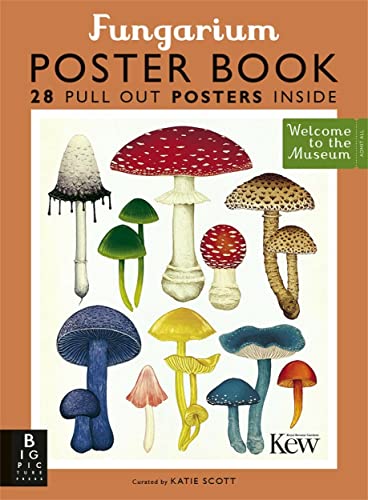 Book cover featuring detailed illustrations of various colorful mushrooms and fungi.