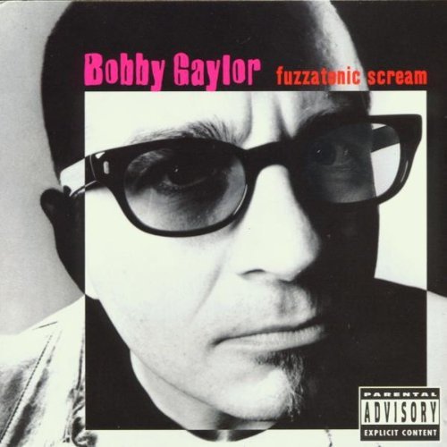Gaylor,bobby - Fuzzatonic Scream [CD]