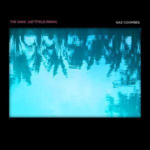 Gaz Coombes “Oaks (Leftfield Remix)” vinyl record cover with blurred water reflection.