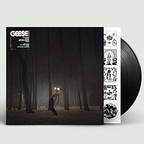 Vinyl record for Geese’s “Projector” album, featuring forest imagery.