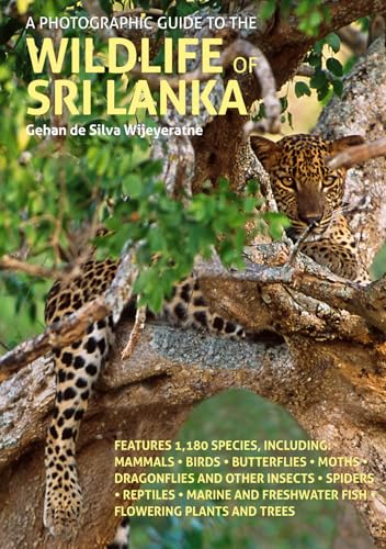 Book cover showing a leopard resting in a tree with title and descriptive text.