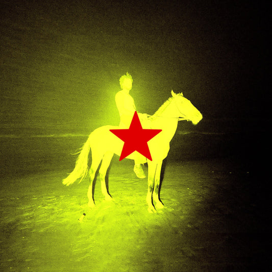 Yellow image of a person on a horse with a red star.