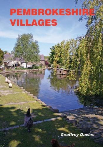 Book cover depicting a tranquil village scene with a pond and ducks.