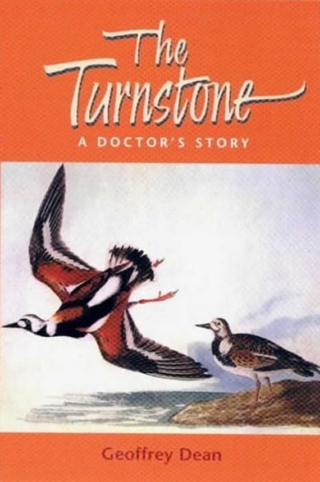 The Turnstone : A Doctor’s Story