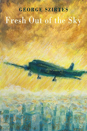 Book cover: airplane flying over clouds, painted in yellow and blue.