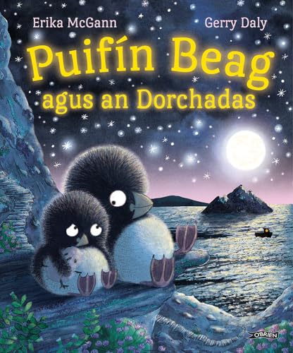 Book cover: two puffins under a starry night sky and full moon.