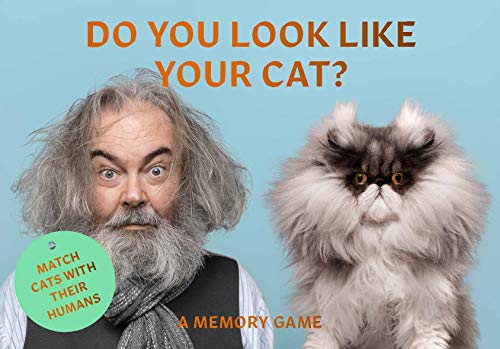 Game cover featuring a man and a fluffy cat with similar appearances.