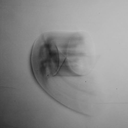Black and white vinyl record with blurred, abstract face image.