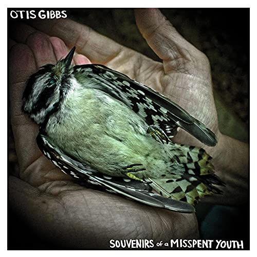 A small, patterned bird resting in a pair of cupped human hands.