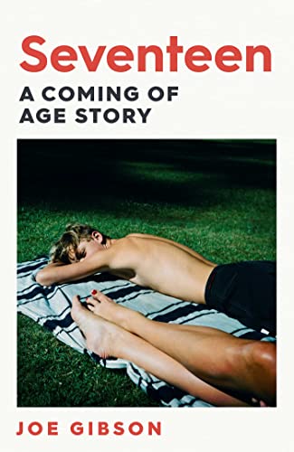Book cover titled Seventeen showing a person lying on a striped blanket on grass.