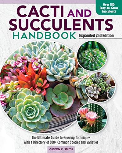 Book cover featuring a colorful arrangement of cacti and succulents.