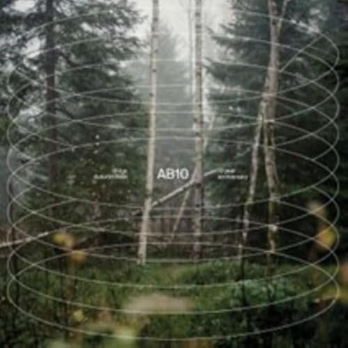 Forest scene with concentric lines and text “AB10” in the center.
