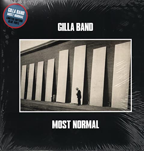 Vinyl record cover featuring a man standing before tall panels against a brick wall.