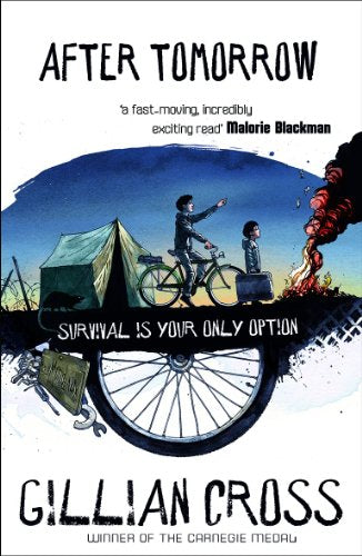 Book cover illustration showing two boys, a tent, a bicycle, and fire at dusk.